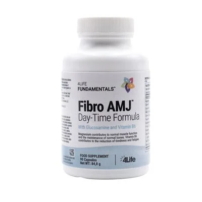 fibro amj day